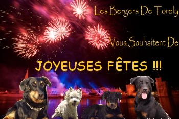 Des Bergers De Torely - Joyeuses Fêtes !!!!