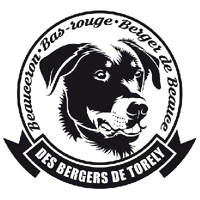 Des Bergers De Torely